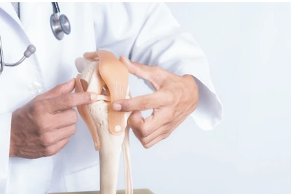 Knee Replacement Surgeon